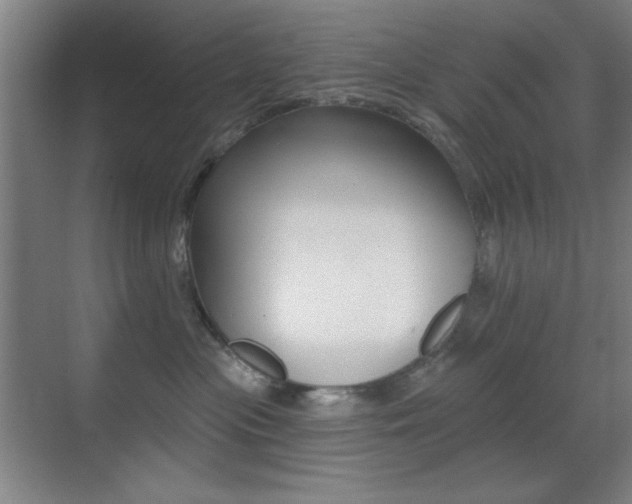 X0000070400477200606090934