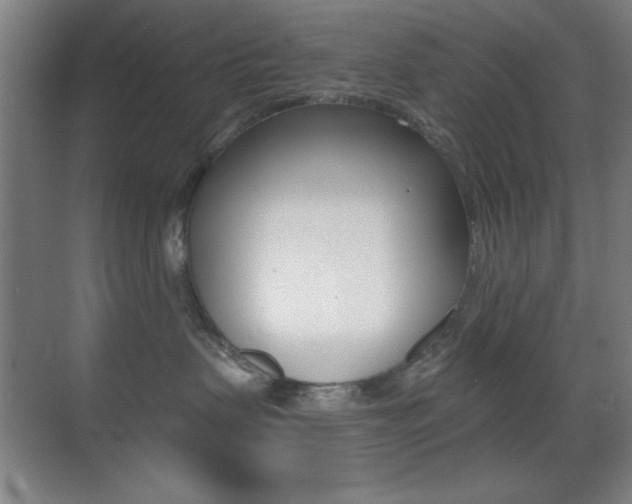 X0000070400479200606090934