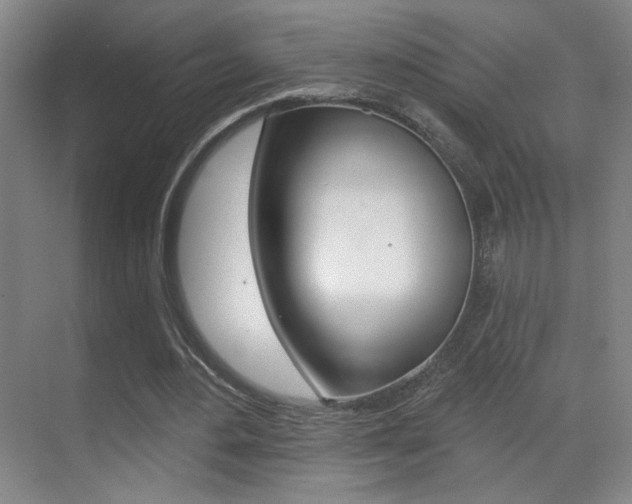 X0000070400484200606090933