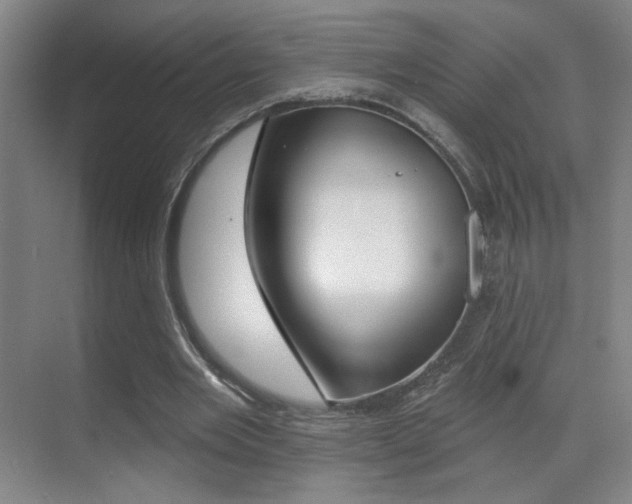 X0000070400485200606090933