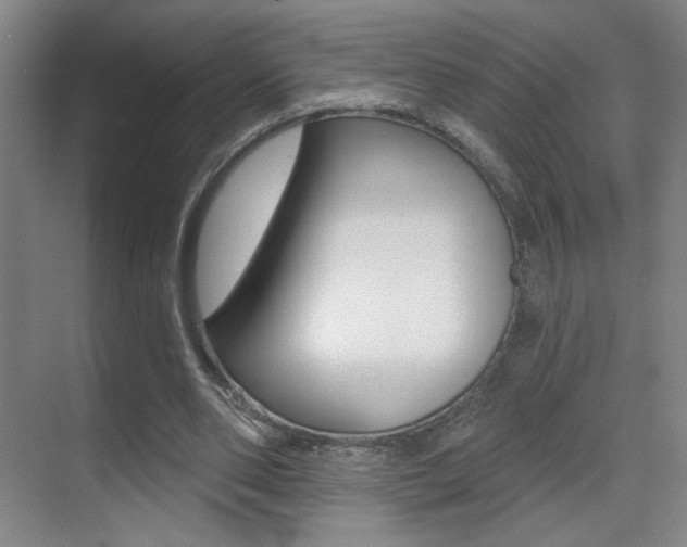 X0000070400486200606090933