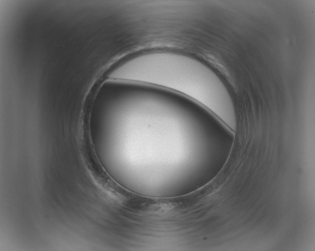X0000070400492200606090933