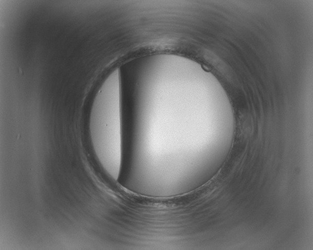 X0000070400494200606090933
