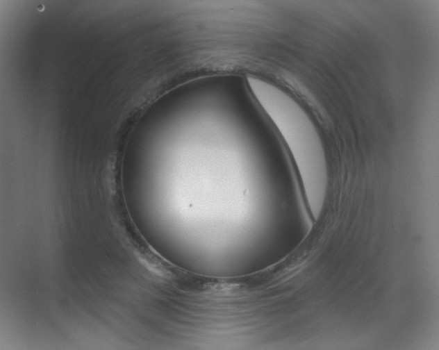 X0000070400497200606090933