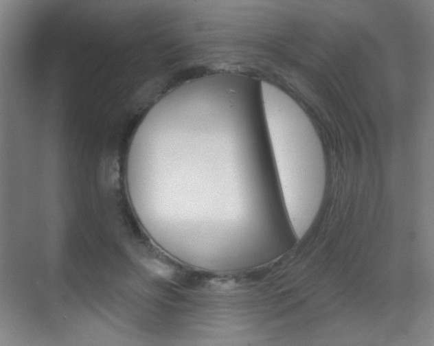 X0000070400502200606090933