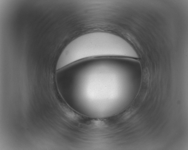 X0000070400509200606090933
