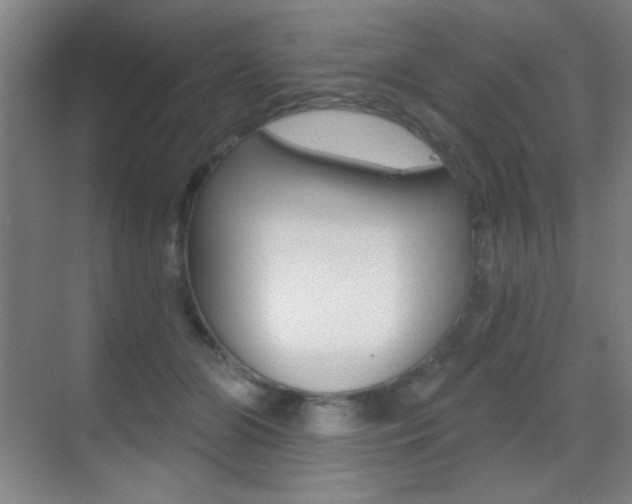 X0000070400510200606090933