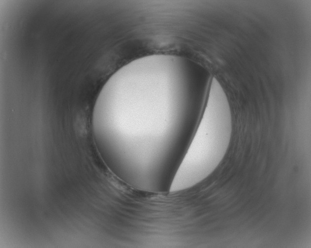 X0000070400515200606090933