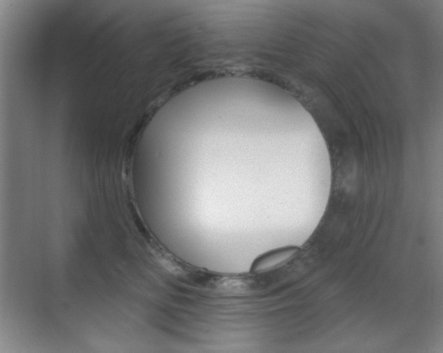 X0000070400518200606090933