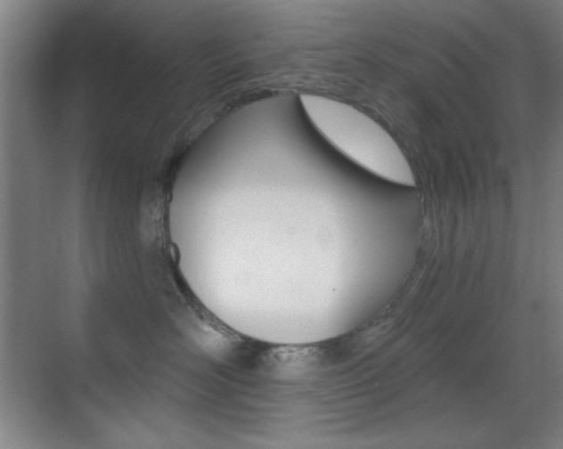 X0000070400526200606090933