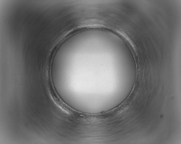 X0000070400533200606090932