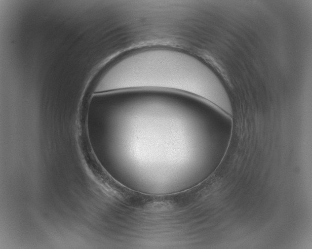 X0000070400536200606090932