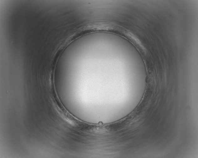 X0000070400537200606090932