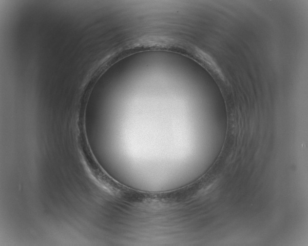 X0000070400538200606090932