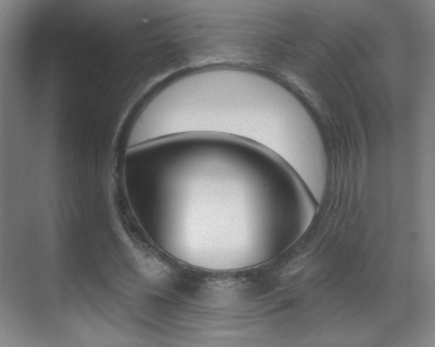 X0000070400540200606090932