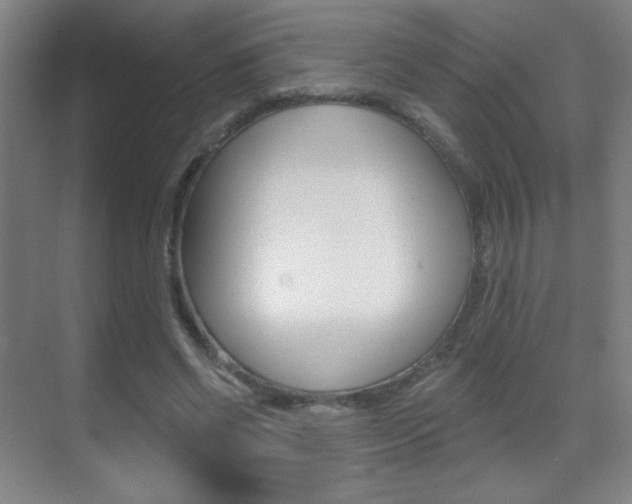 X0000070400542200606090932