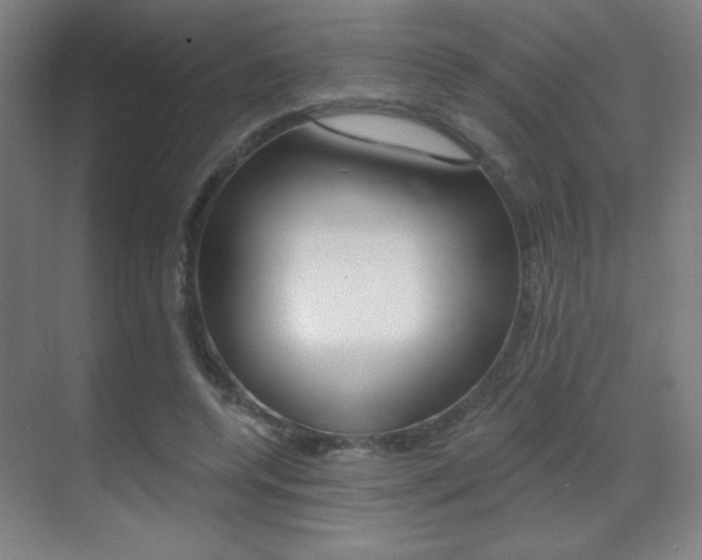 X0000070400544200606090932
