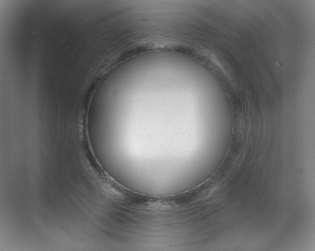 X0000070400545200606090932