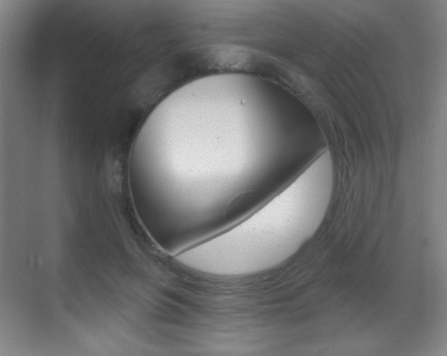X0000070400551200606090932