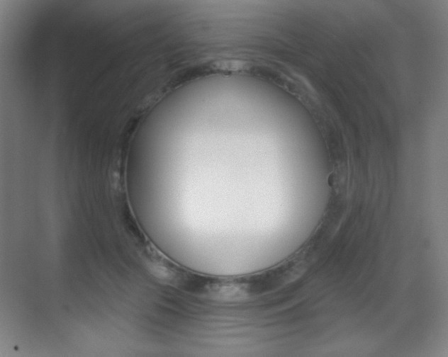 X0000070400553200606090932