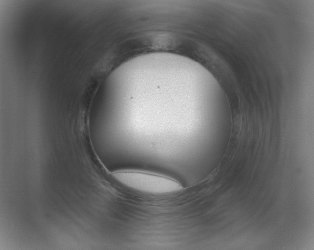 X0000070400554200606090932