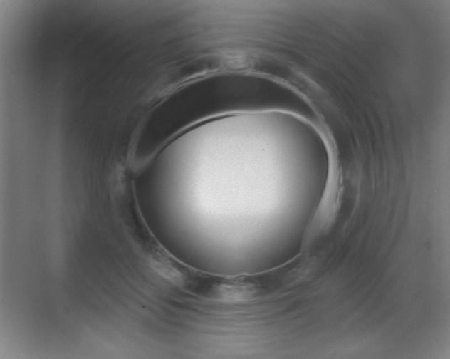 X0000070400556200606090932