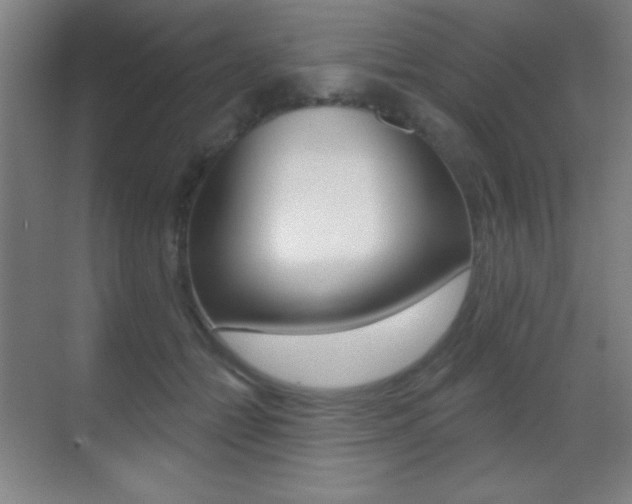 X0000070400558200606090932