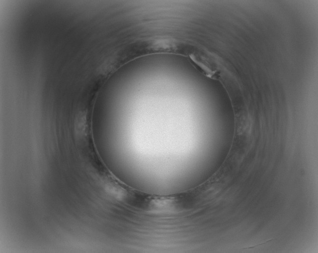 X0000070400560200606090932