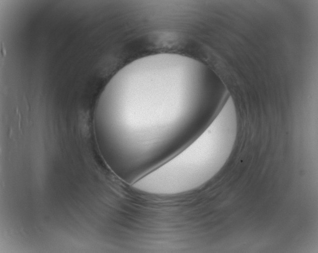 X0000070400563200606090932