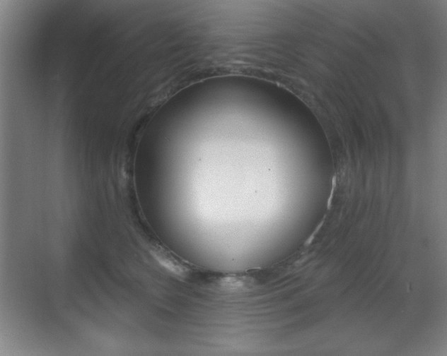 X0000070400566200606090932
