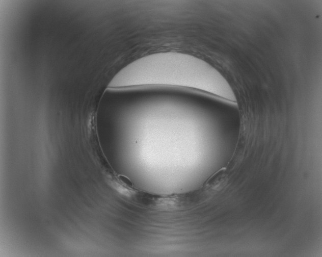 X0000070400574200606090933