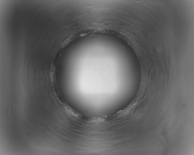 X0000070400576200606090933