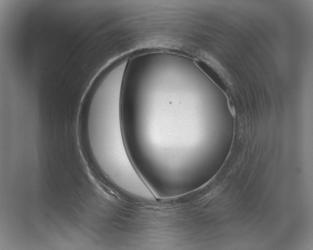 X0000070400580200606090932