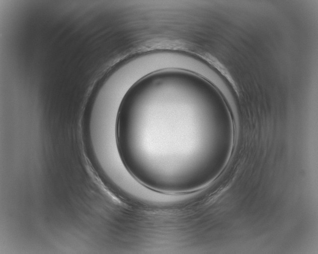 X0000070400581200606090932