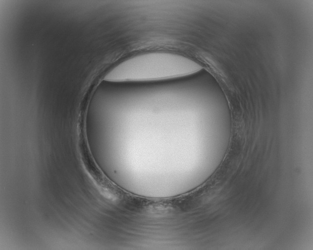 X0000070400586200606090932