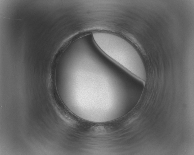 X0000070400588200606090932