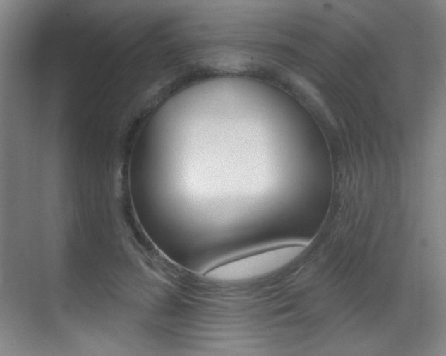 X0000070400596200606090932