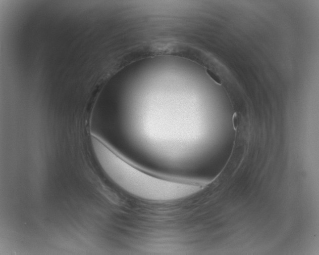 X0000070400601200606090931