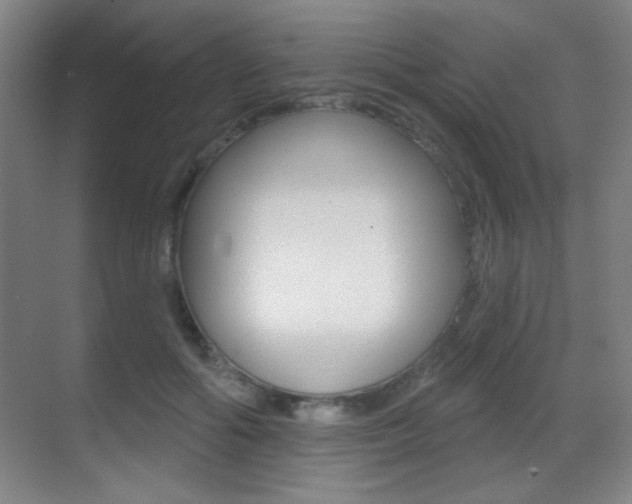 X0000070400602200606090931