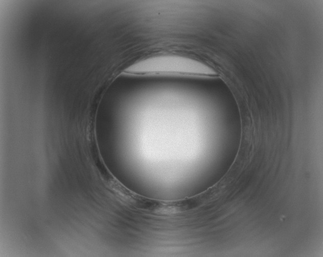 X0000070400604200606090931