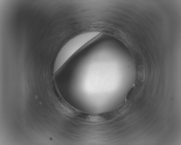 X0000070400605200606090931