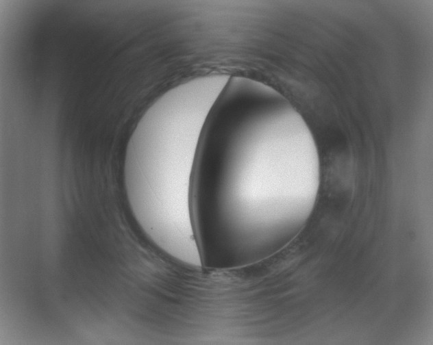 X0000070400608200606090931