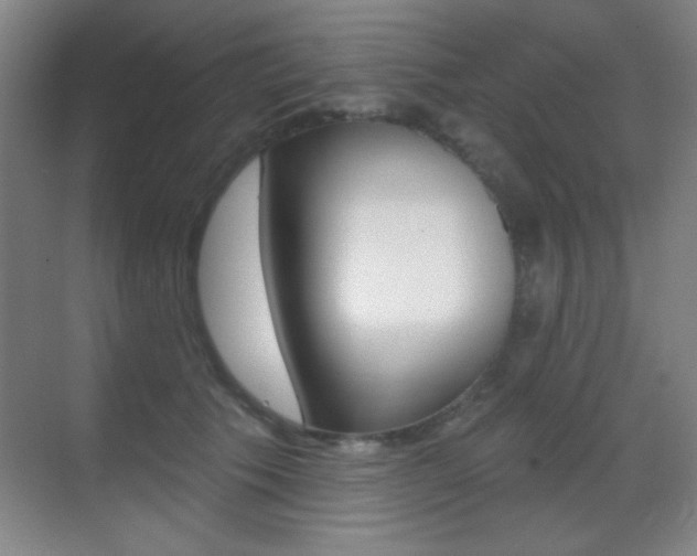 X0000070400609200606090931