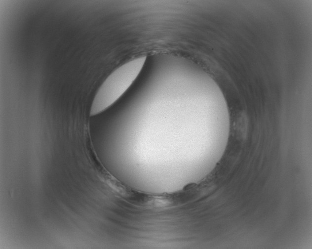 X0000070400610200606090931