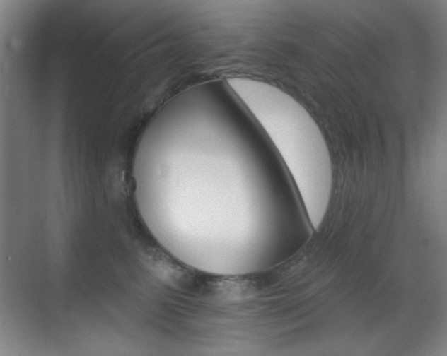 X0000070400615200606090931