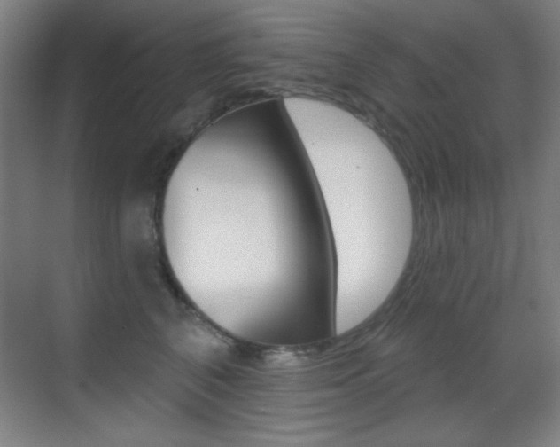 X0000070400616200606090931