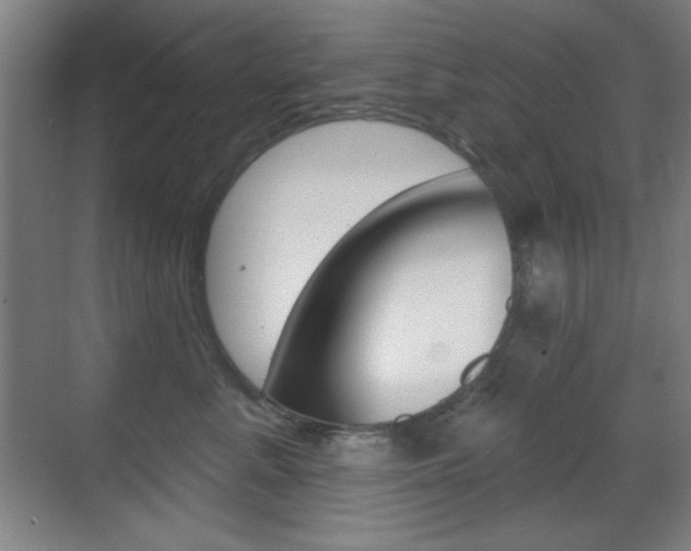 X0000070400619200606090931