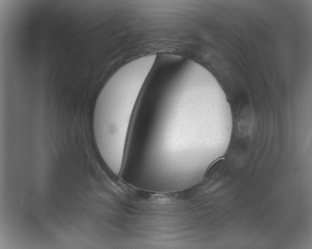 X0000070400620200606090931