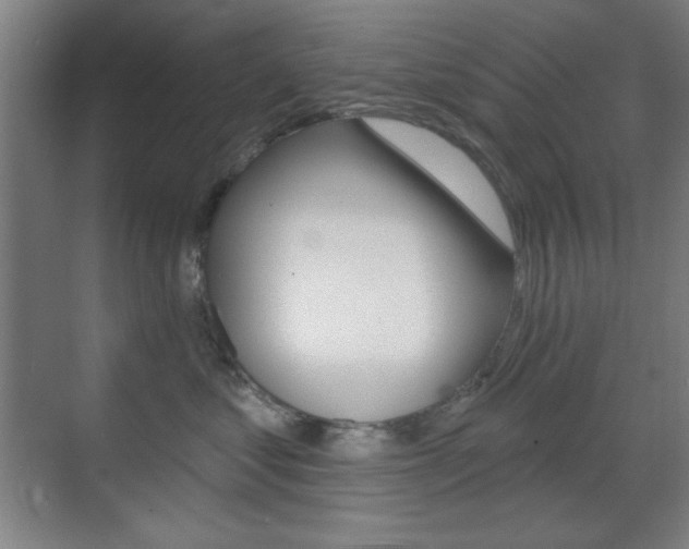 X0000070400621200606090931