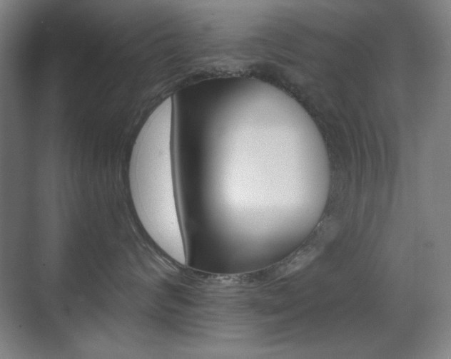 X0000070400624200606090931
